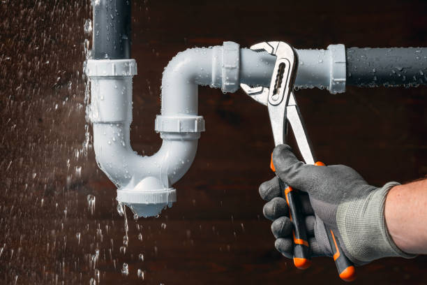 Professional Emergency Plumber technician working in Lively, VA